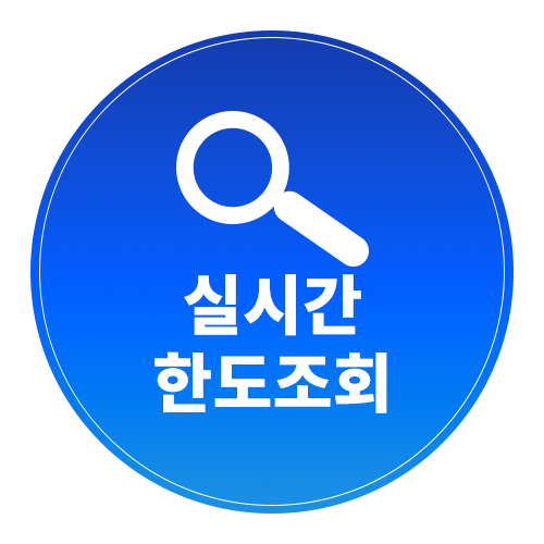 실시간 한도조회